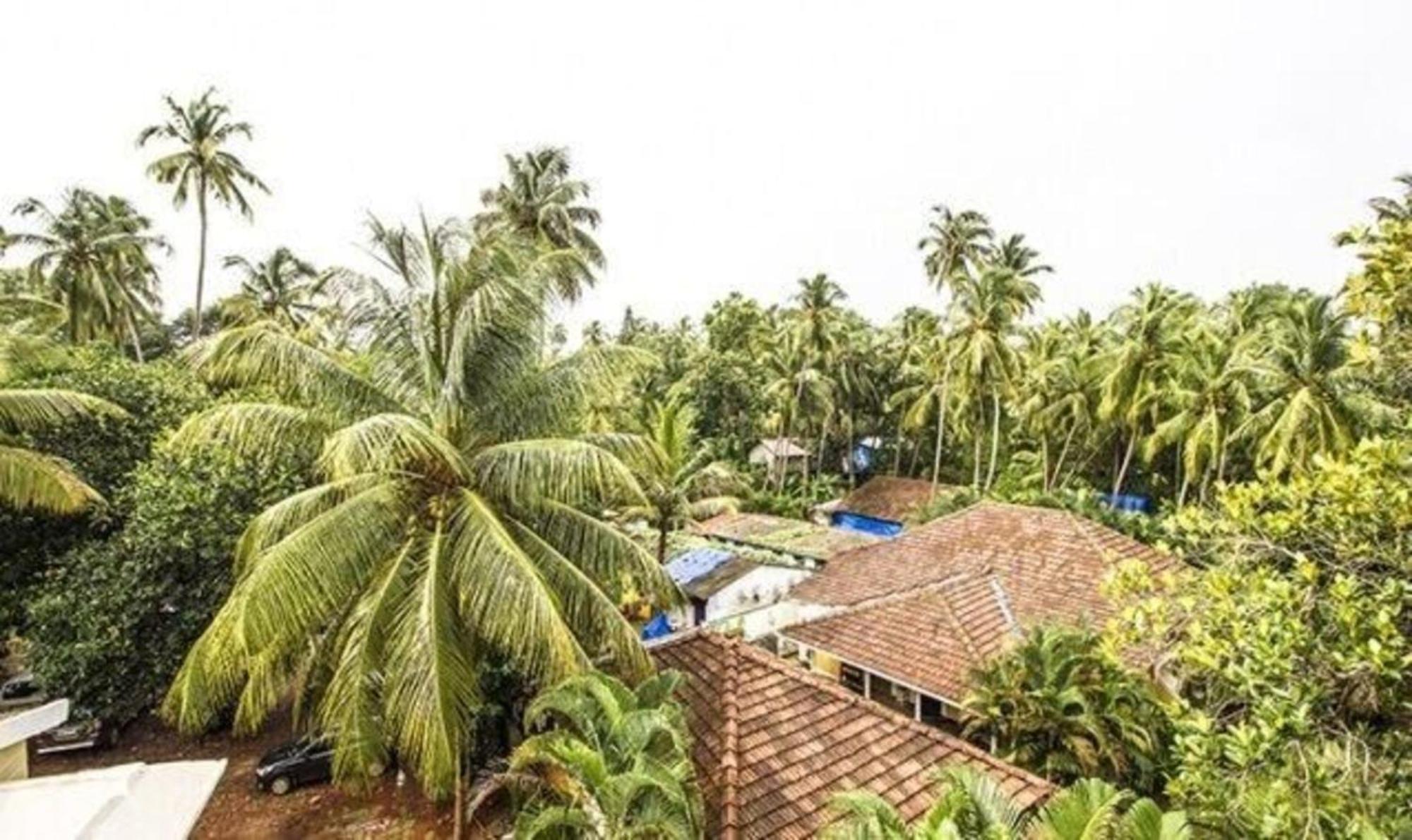 Fabexpress Orchid The Sky Calangute Exterior foto
